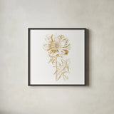 Gilded Botanical VIII Sq by Wild Apple Portfolio. Shown in a sleek black glass frame for a contemporary gallery look. Available as an archival giclee rolled canvas, fine art paper, or poster print. SKU 33668a.
