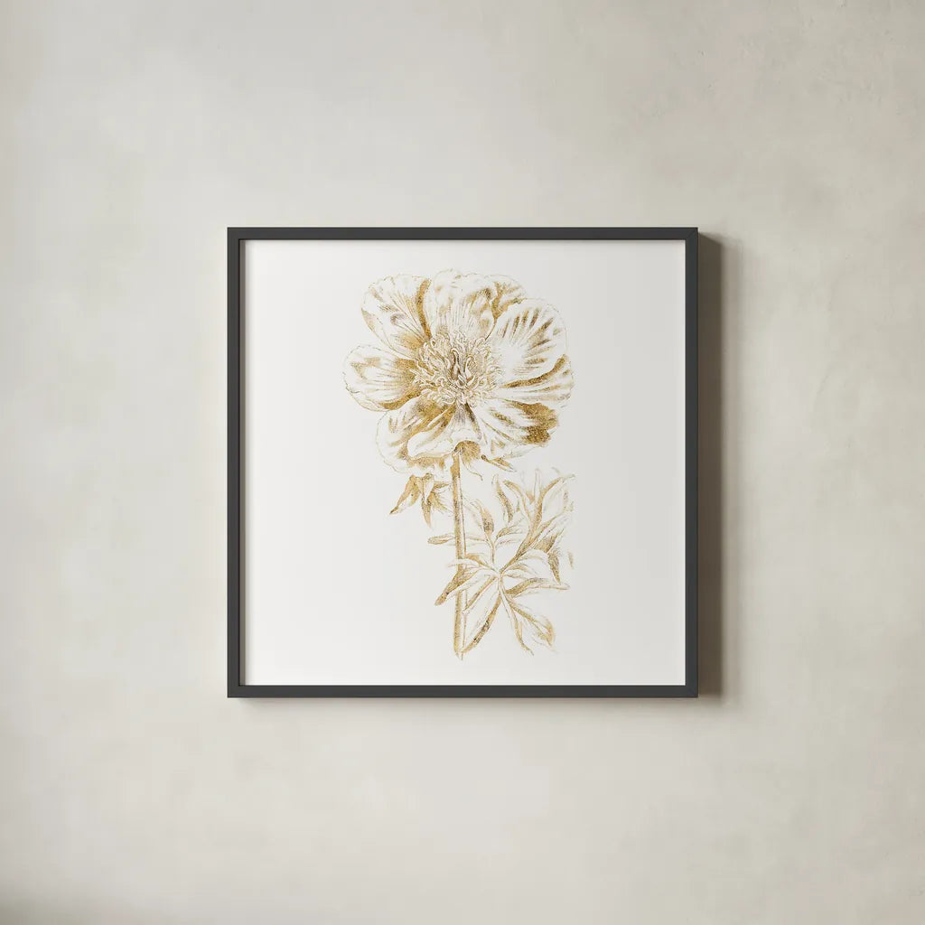 Gilded Botanical VIII Sq by Wild Apple Portfolio. Shown in a sleek black glass frame for a contemporary gallery look. Available as an archival giclee rolled canvas, fine art paper, or poster print. SKU 33668a.