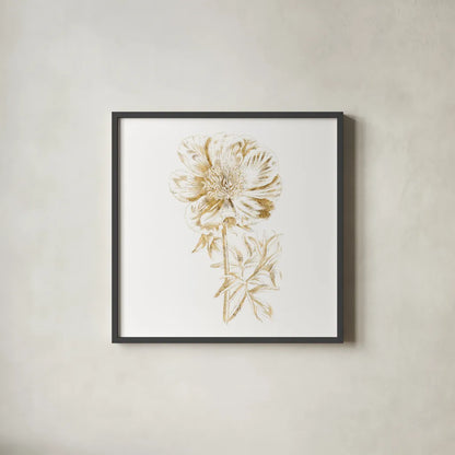 Gilded Botanical VIII Sq by Wild Apple Portfolio. Shown in a sleek black glass frame for a contemporary gallery look. Available as an archival giclee rolled canvas, fine art paper, or poster print. SKU 33668a.
