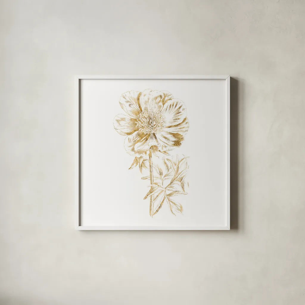 Gilded Botanical VIII Sq by Wild Apple Portfolio. Shown in a crisp white glass frame for a clean and minimalist style. Available as an archival giclee rolled canvas, fine art paper, or poster print. SKU 33668a.