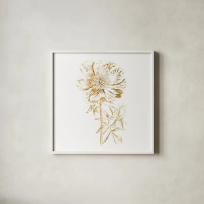 Gilded Botanical VIII Sq by Wild Apple Portfolio. Shown in a crisp white glass frame for a clean and minimalist style. Available as an archival giclee rolled canvas, fine art paper, or poster print. SKU 33668a.