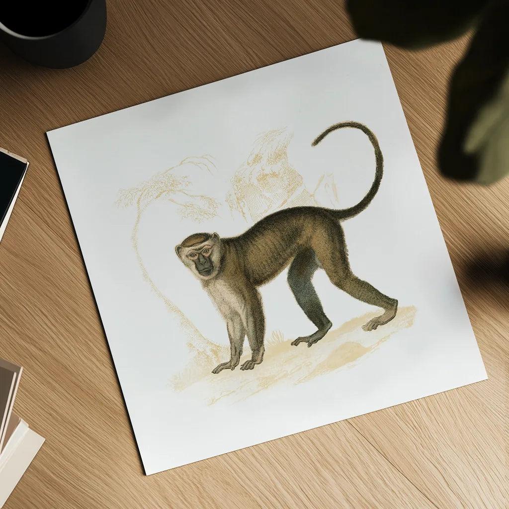 Golden Monkey by Wild Apple Portfolio. Shown as a detailed flat fine art print, highlighting archival giclee quality. Available as an archival giclee rolled canvas, fine art paper, or poster print. SKU 69021a.