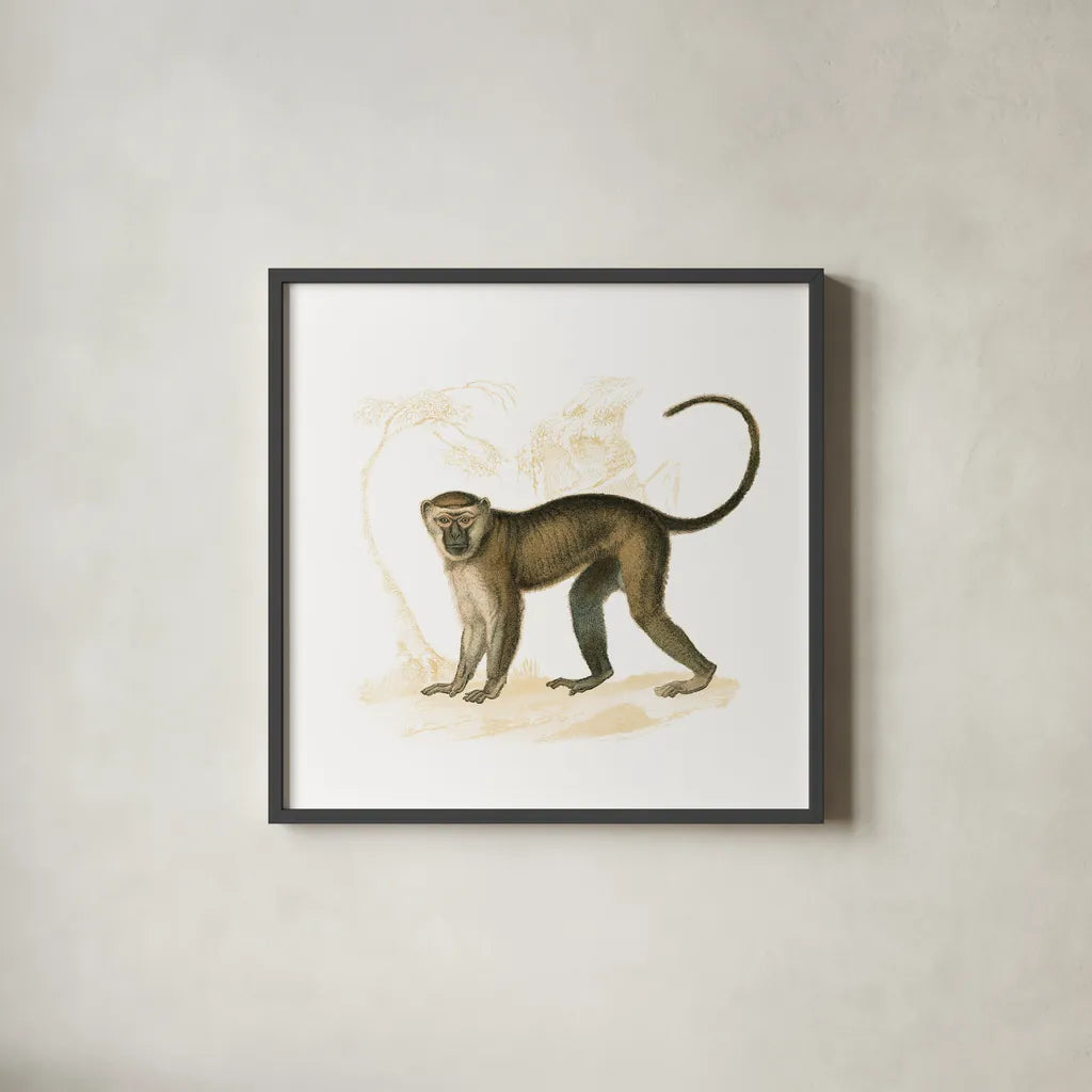 Golden Monkey by Wild Apple Portfolio. Shown in a sleek black glass frame for a contemporary gallery look. Available as an archival giclee rolled canvas, fine art paper, or poster print. SKU 69021a.