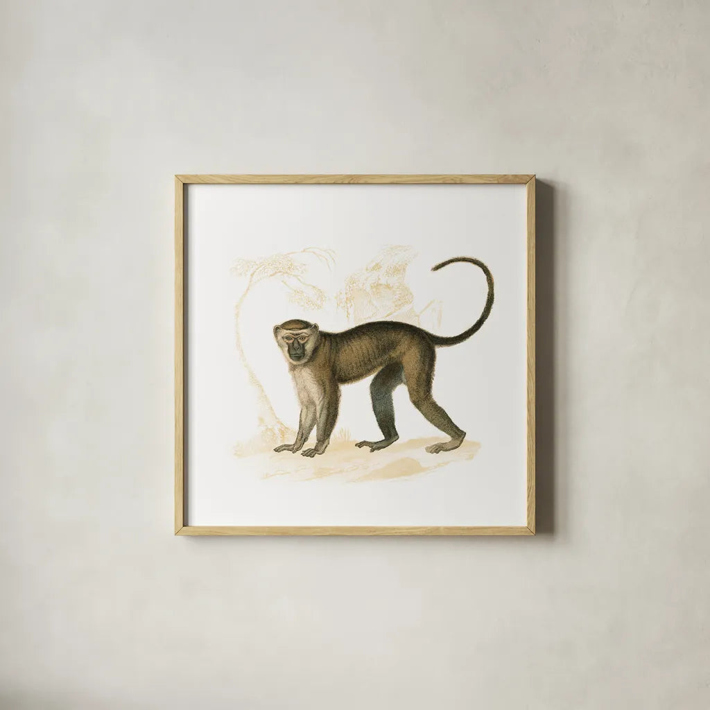 Golden Monkey by Wild Apple Portfolio. Shown in a natural wood glass frame for a timeless modern aesthetic. Available as an archival giclee rolled canvas, fine art paper, or poster print. SKU 69021a.