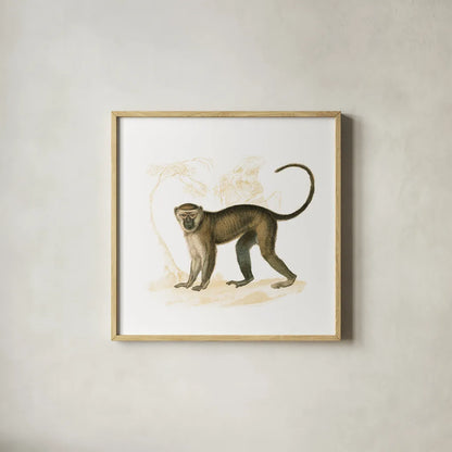 Golden Monkey by Wild Apple Portfolio. Shown in a natural wood glass frame for a timeless modern aesthetic. Available as an archival giclee rolled canvas, fine art paper, or poster print. SKU 69021a.