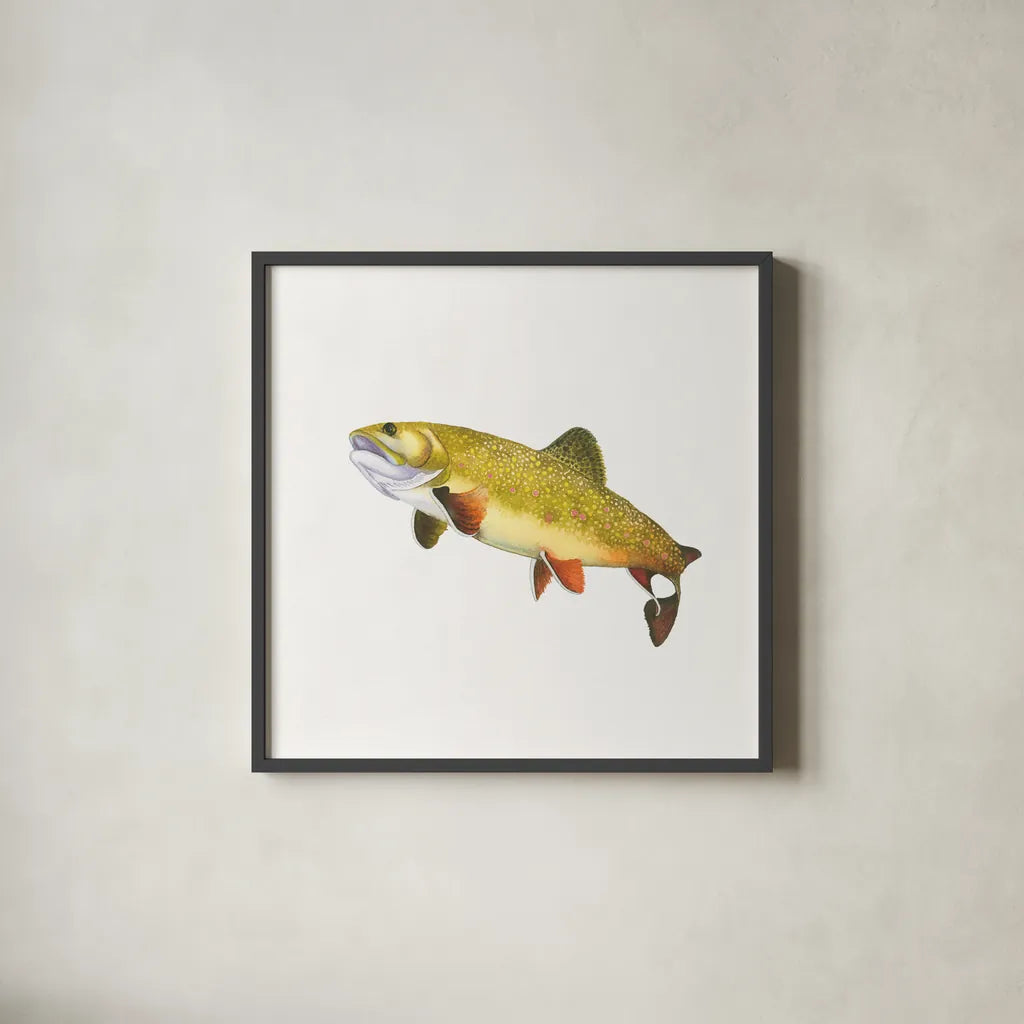 Gone Fishin Brookie by Wild Apple Portfolio. Shown in a sleek black glass frame for a contemporary gallery look. Available as an archival giclee rolled canvas, fine art paper, or poster print. SKU 34832a.
