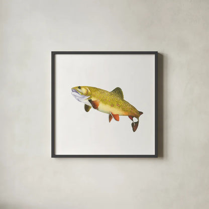 Gone Fishin Brookie by Wild Apple Portfolio. Shown in a sleek black glass frame for a contemporary gallery look. Available as an archival giclee rolled canvas, fine art paper, or poster print. SKU 34832a.