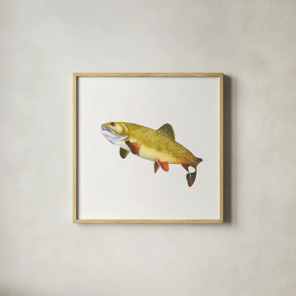 Gone Fishin Brookie by Wild Apple Portfolio. Shown in a natural wood glass frame for a timeless modern aesthetic. Available as an archival giclee rolled canvas, fine art paper, or poster print. SKU 34832a.
