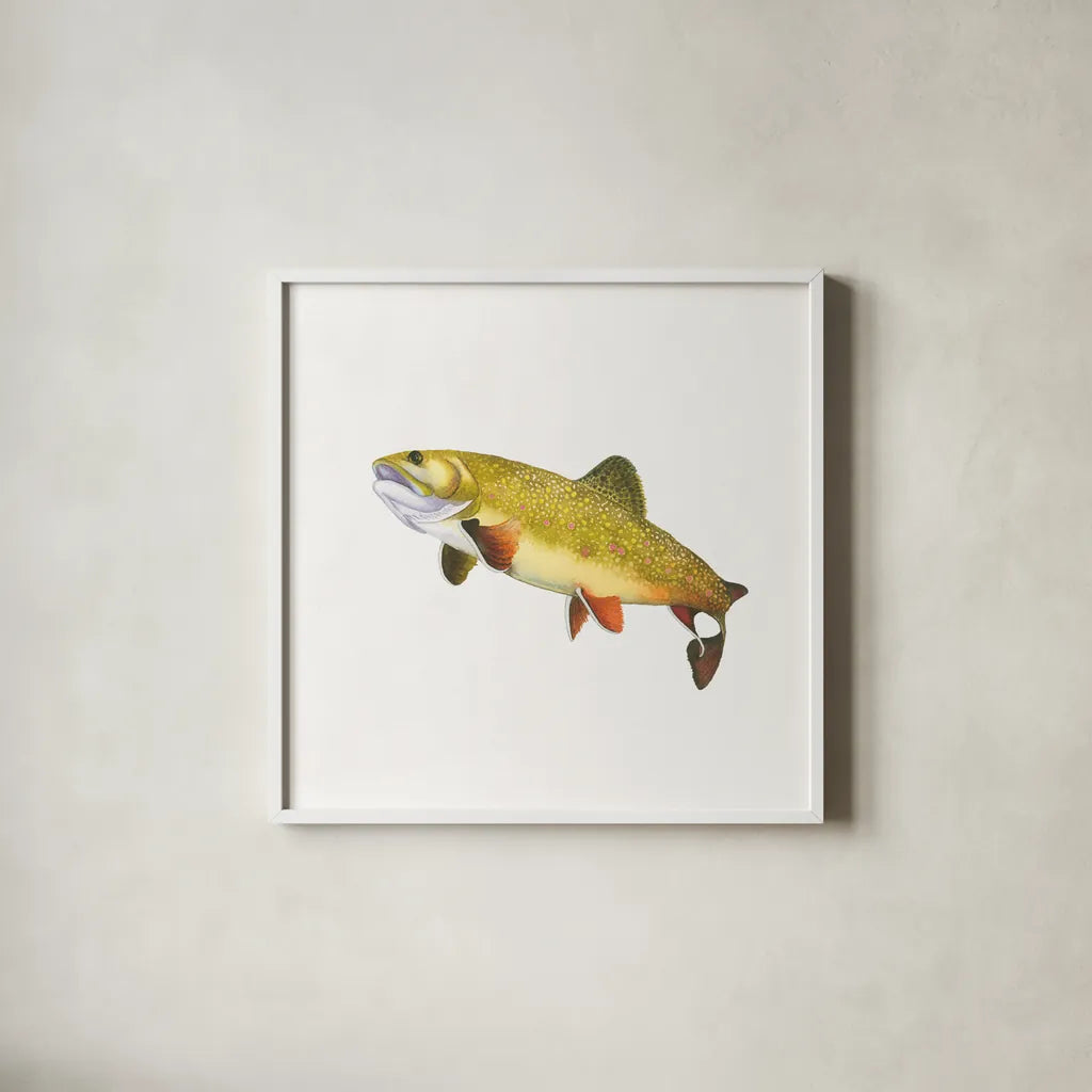 Gone Fishin Brookie by Wild Apple Portfolio. Shown in a crisp white glass frame for a clean and minimalist style. Available as an archival giclee rolled canvas, fine art paper, or poster print. SKU 34832a.