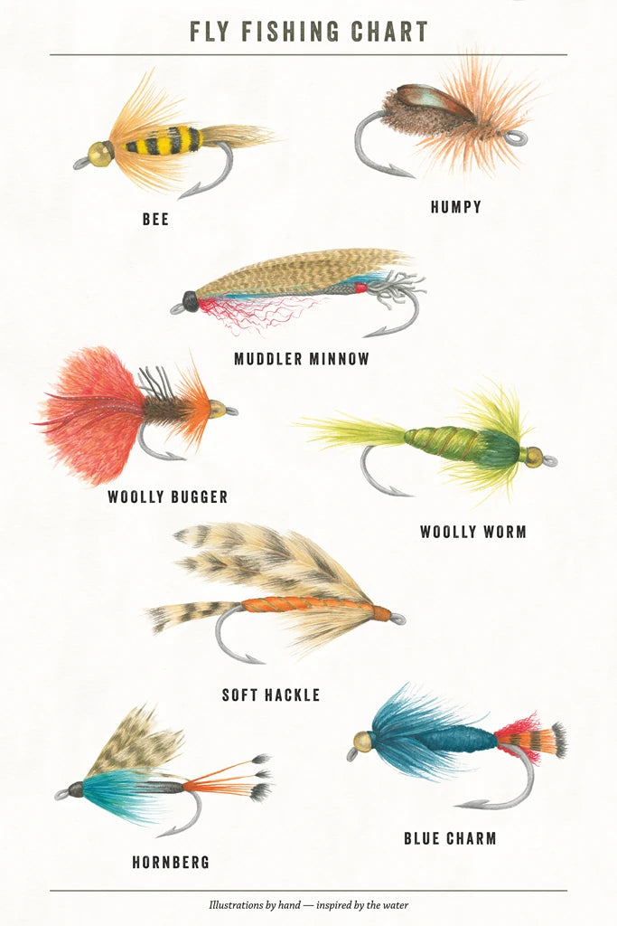 Gone Fishin I Chart by Wild Apple Portfolio