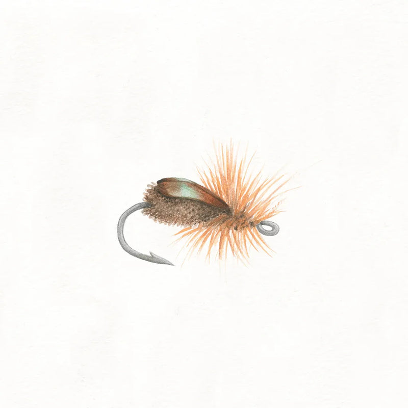 Gone Fishin II by Wild Apple Portfolio. SKU 31880a. Archival Giclee Fine art print for wall decor.