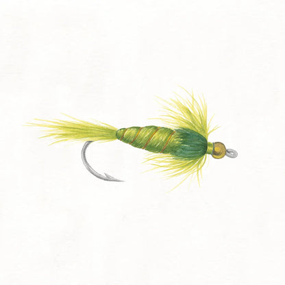 Gone Fishin IV by Wild Apple Portfolio. SKU 31882a. Archival Giclee Fine art print for wall decor.