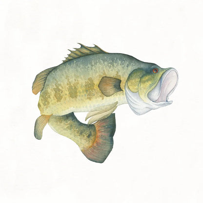 Gone Fishin Large Mouth by Wild Apple Portfolio. SKU 34831a. Archival Giclee Fine art print for wall decor.