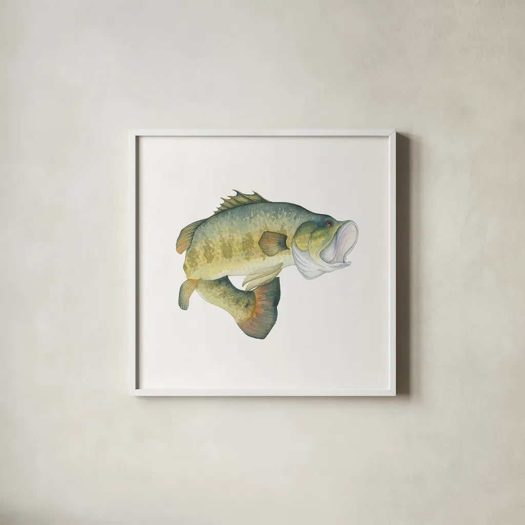 Gone Fishin Large Mouth by Wild Apple Portfolio. Shown in a crisp white glass frame for a clean and minimalist style. Available as an archival giclee rolled canvas, fine art paper, or poster print. SKU 34831a.