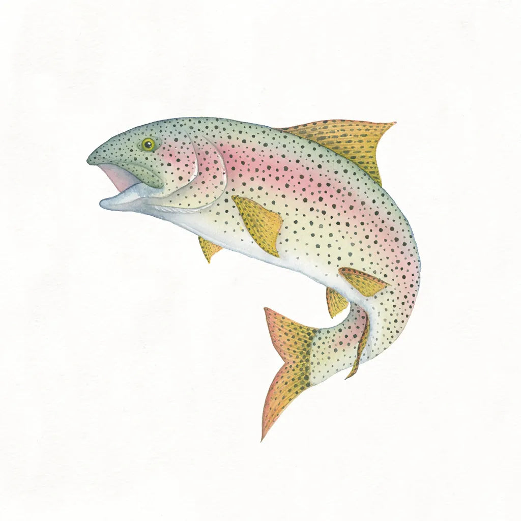 Gone Fishin Rainbow by Wild Apple Portfolio. SKU 34834a. Archival Giclee Fine art print for wall decor.