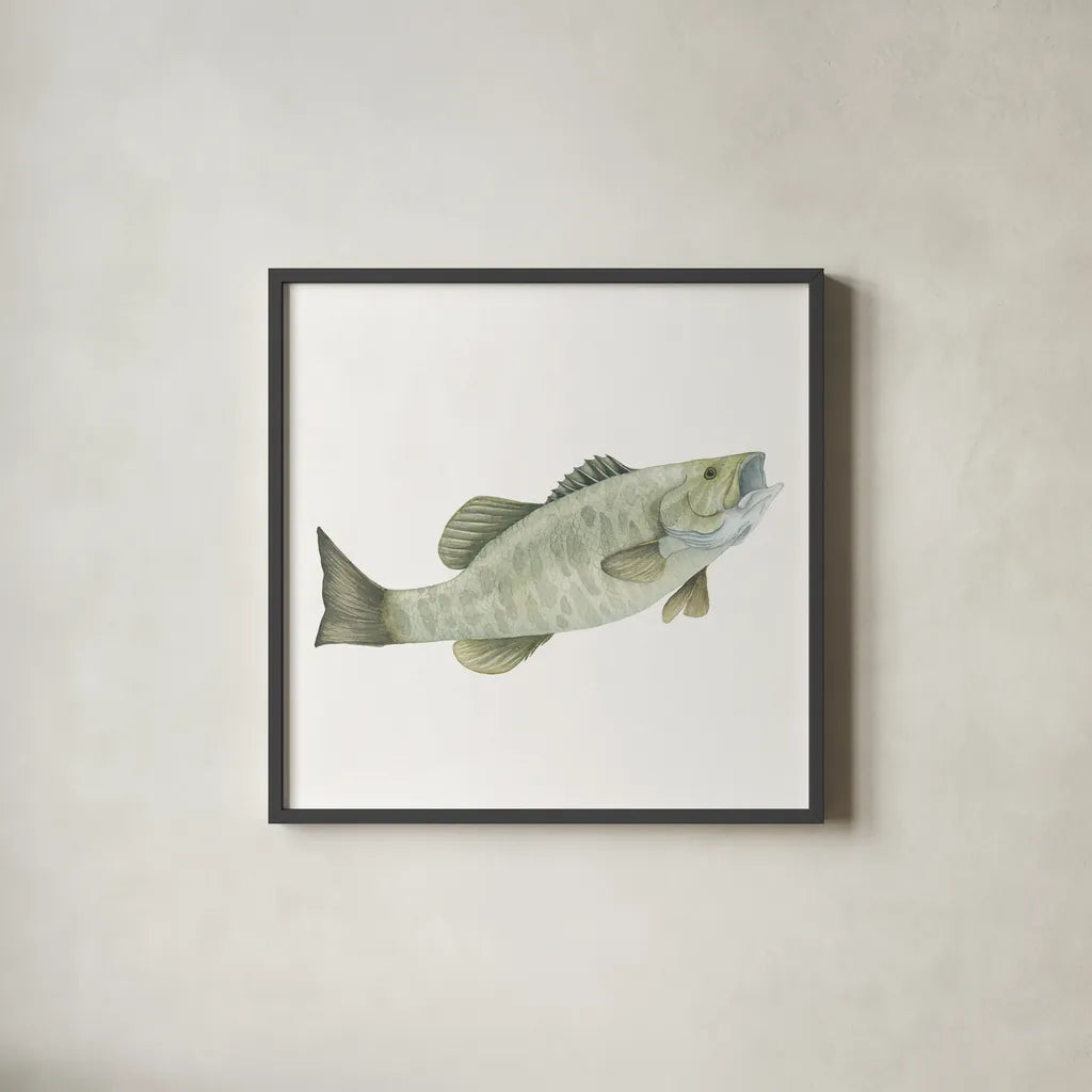 Gone Fishin Small Mouth by Wild Apple Portfolio. Shown in a sleek black glass frame for a contemporary gallery look. Available as an archival giclee rolled canvas, fine art paper, or poster print. SKU 34833a.