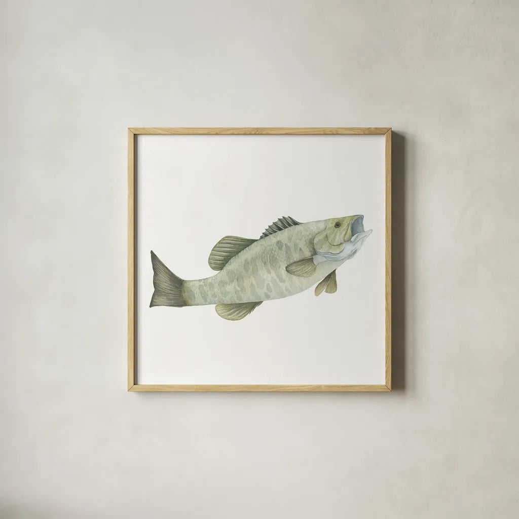 Gone Fishin Small Mouth by Wild Apple Portfolio. Shown in a natural wood glass frame for a timeless modern aesthetic. Available as an archival giclee rolled canvas, fine art paper, or poster print. SKU 34833a.