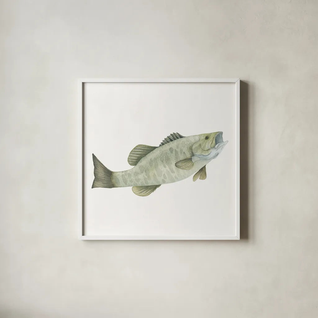 Gone Fishin Small Mouth by Wild Apple Portfolio. Shown in a crisp white glass frame for a clean and minimalist style. Available as an archival giclee rolled canvas, fine art paper, or poster print. SKU 34833a.