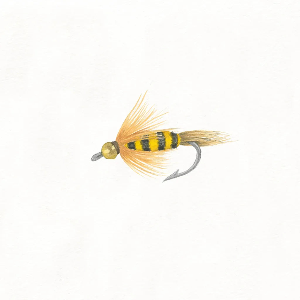 Gone Fishin VII by Wild Apple Portfolio. SKU 31885a. Archival Giclee Fine art print for wall decor.