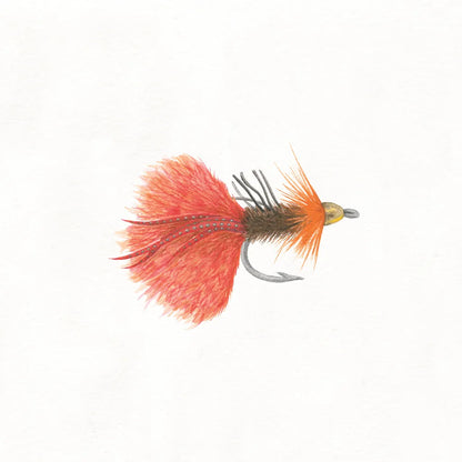 Gone Fishin VIII by Wild Apple Portfolio. SKU 31886a. Archival Giclee Fine art print for wall decor.