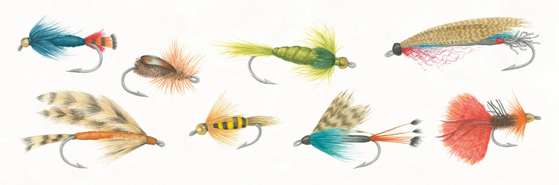 Gone Fishin XII by Wild Apple Portfolio