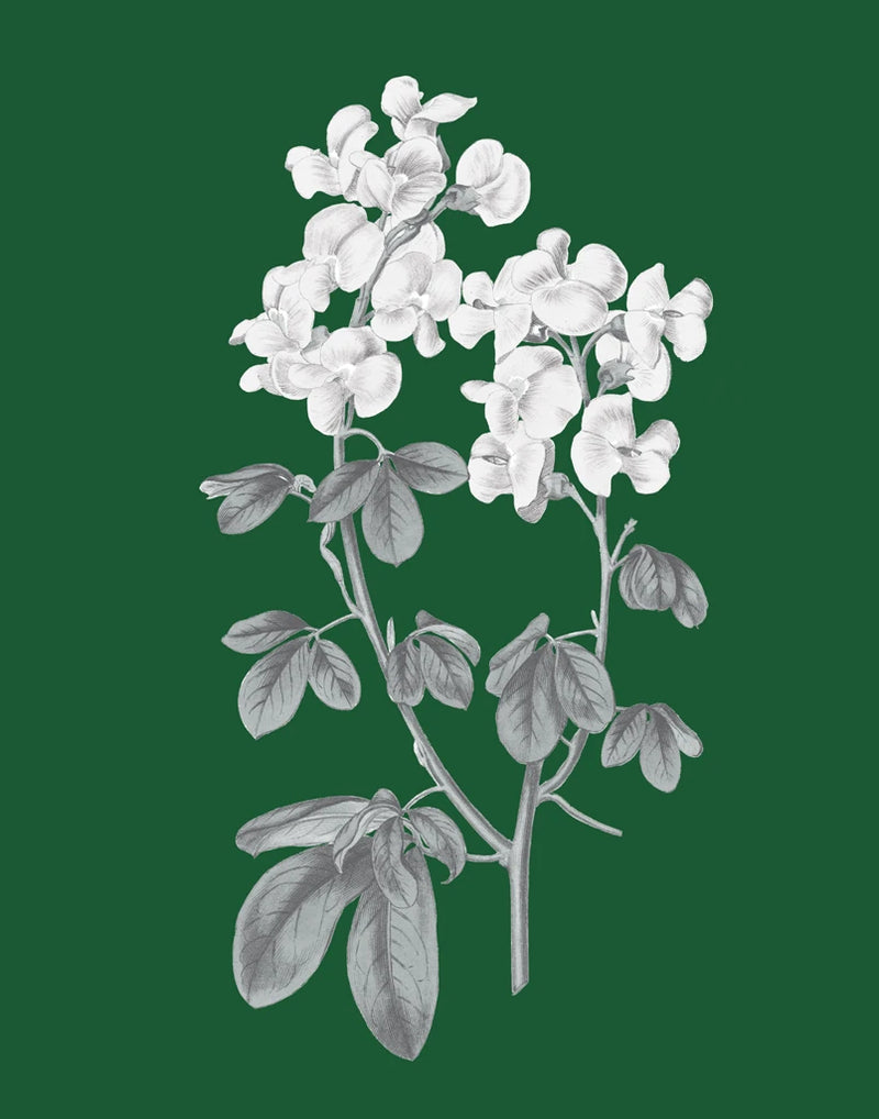 Green Botanical III by Wild Apple Portfolio