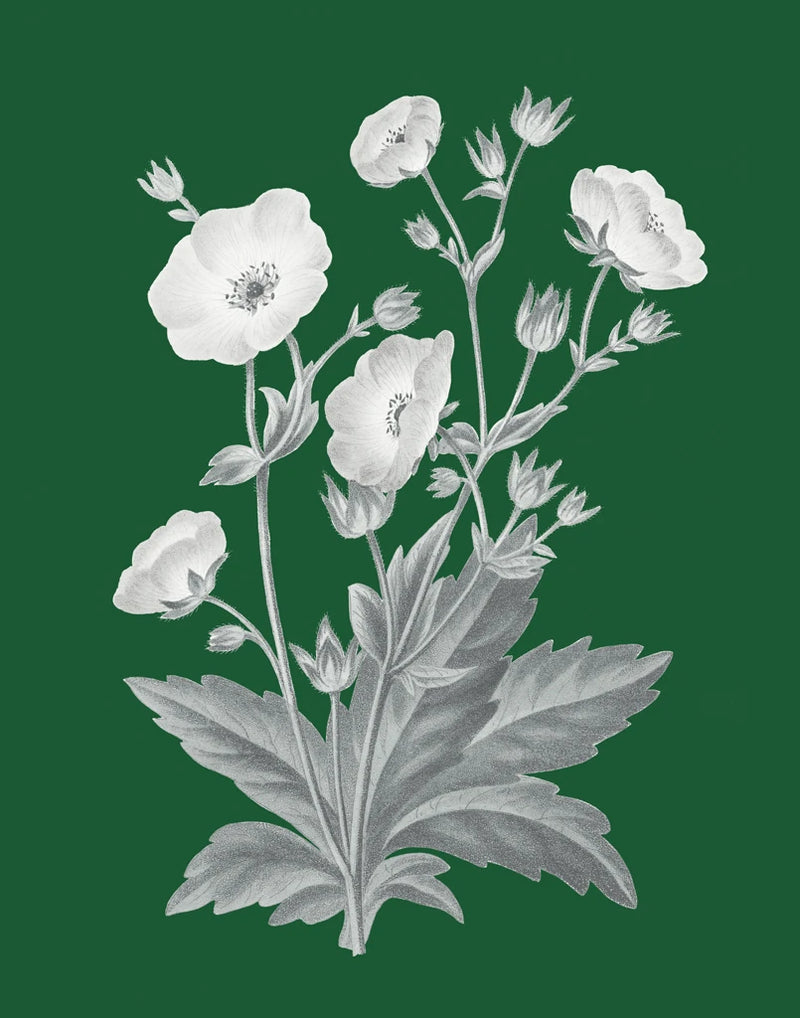 Green Botanical VI by Wild Apple Portfolio