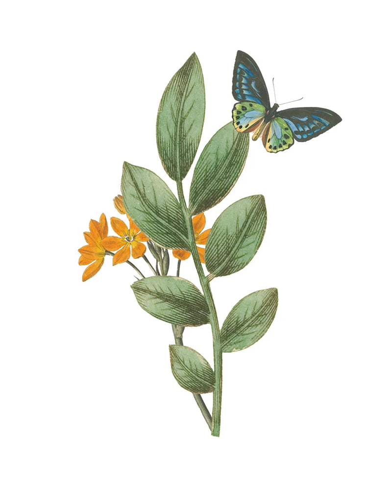 Greenery Butterflies I by Wild Apple Portfolio