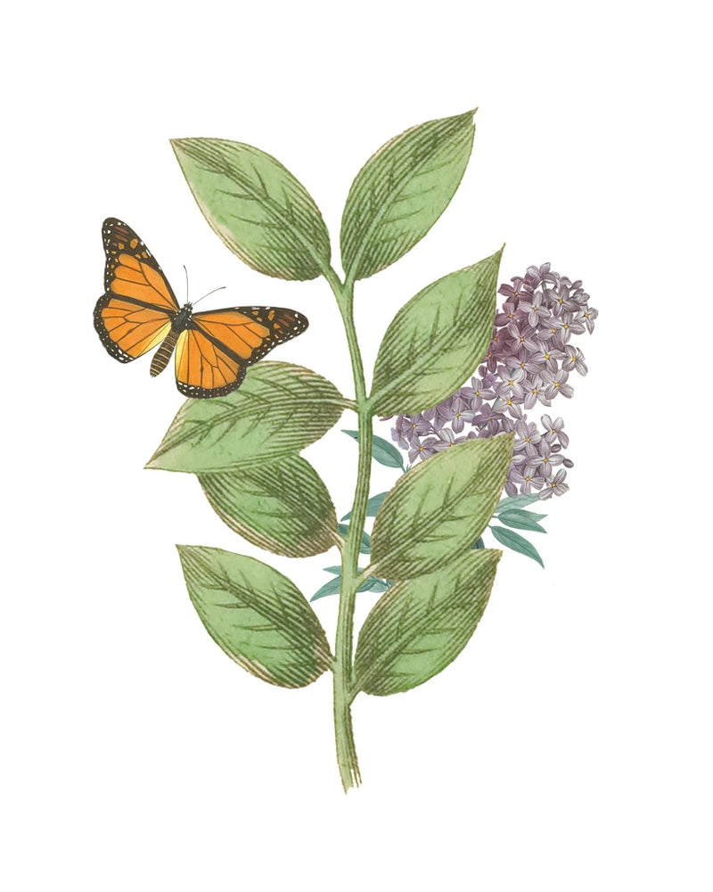 Greenery Butterflies III by Wild Apple Portfolio