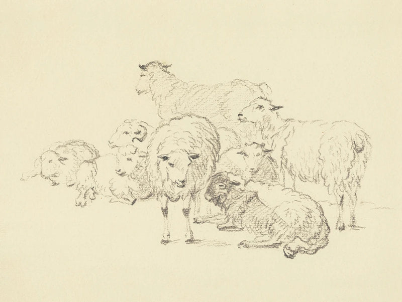 Happy Herd by Wild Apple Portfolio
