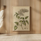 Herbal Botanical I Crop II by Wild Apple Portfolio. shown as over sized large wall art. Available as an archival giclee rolled canvas, fine art paper, or poster print. SKU 77691h.
