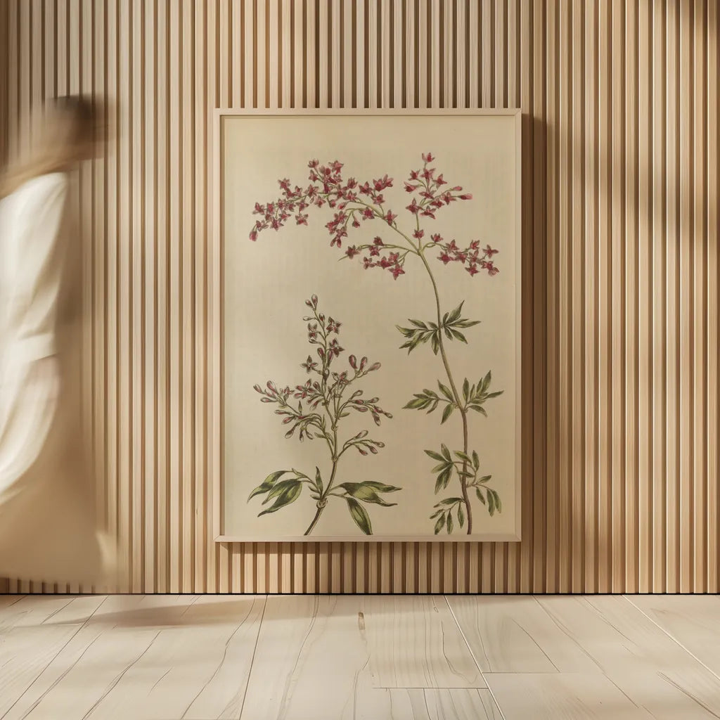 Herbal Botanical I Crop III by Wild Apple Portfolio. shown as over sized large wall art. Available as an archival giclee rolled canvas, fine art paper, or poster print. SKU 77692h.
