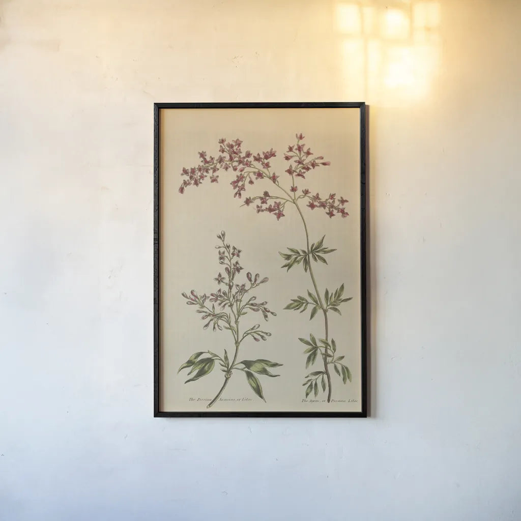 Herbal Botanical I Crop III by Wild Apple Portfolio. shown as a paper print in a black flame. Available as a archival giclee rolled canvas, fine art paper, or poster print. SKU 77692h.