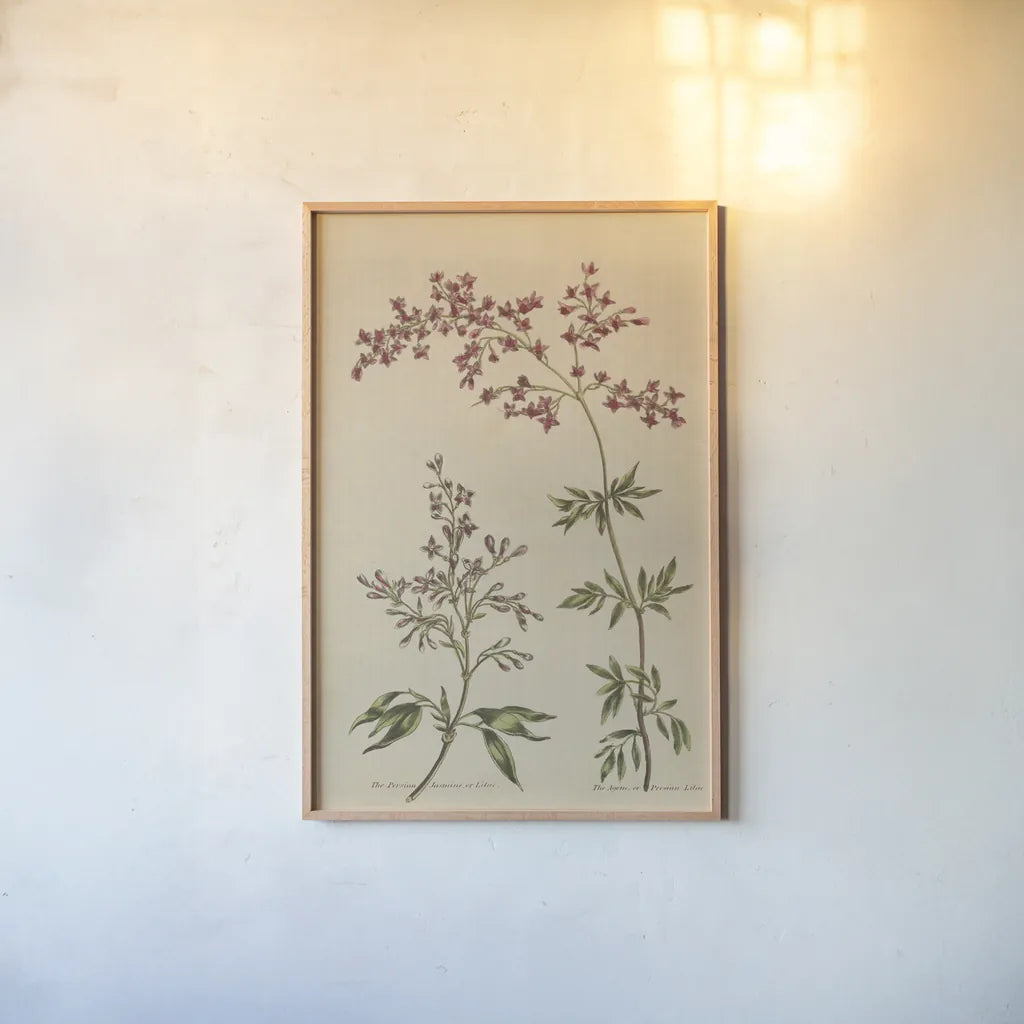 Herbal Botanical I Crop III by Wild Apple Portfolio. shown as a paper print in a natural frame. Available as a archival giclee rolled canvas, fine art paper, or poster print. SKU 77692h.