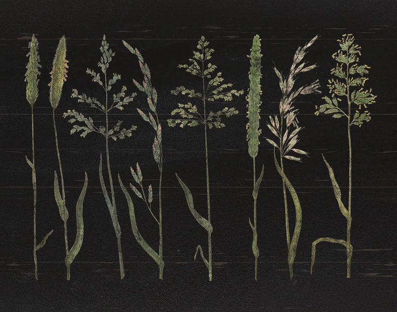 Herbal Botanical VII Black Wood No Words by Wild Apple Portfolio