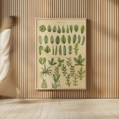 Herbal Botanical X by Wild Apple Portfolio. shown as over sized large wall art. Available as an archival giclee rolled canvas, fine art paper, or poster print. SKU 41415h.