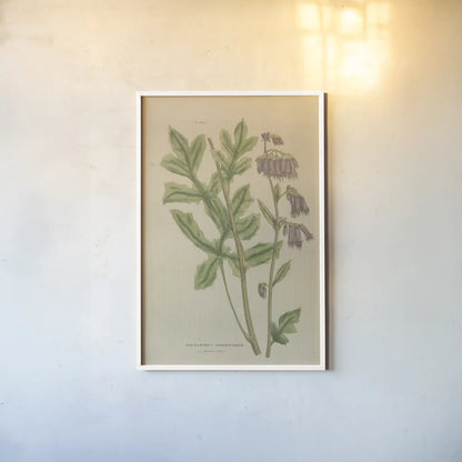 Herbal Botanical XVII by Wild Apple Portfolio. shown as a paper print in a white frame. Available as a archival giclee rolled canvas, fine art paper, or poster print. SKU 41422h.