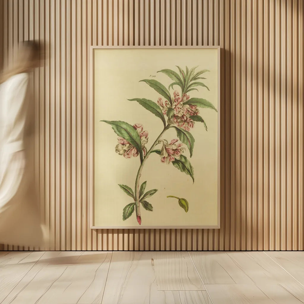 Herbal Botanical XXVI by Wild Apple Portfolio. shown as over sized large wall art. Available as an archival giclee rolled canvas, fine art paper, or poster print. SKU 41431h.