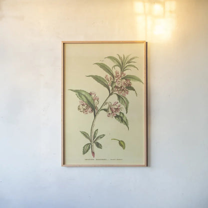 Herbal Botanical XXVI by Wild Apple Portfolio. shown as a paper print in a natural frame. Available as a archival giclee rolled canvas, fine art paper, or poster print. SKU 41431h.