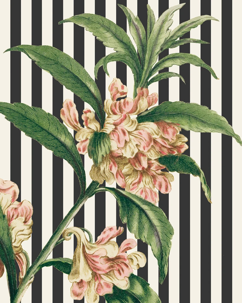 Herbal Botanical XXVI Bold Crop by Wild Apple Portfolio