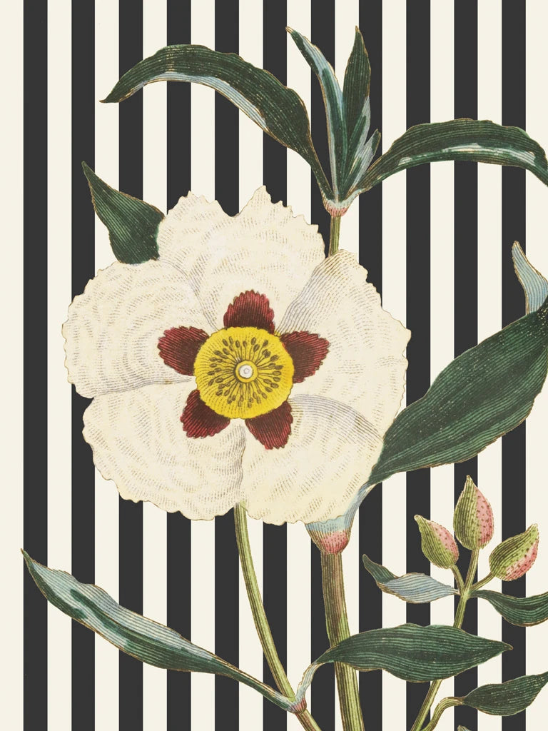 Herbal Botanical XXVII Bold by Wild Apple Portfolio