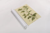 Herbal Botanical XXVIII by Wild Apple Portfolio. shown as a rolled paper print. Available as archival giclee rolled canvas, fine art paper, or poster print. SKU 41433h.