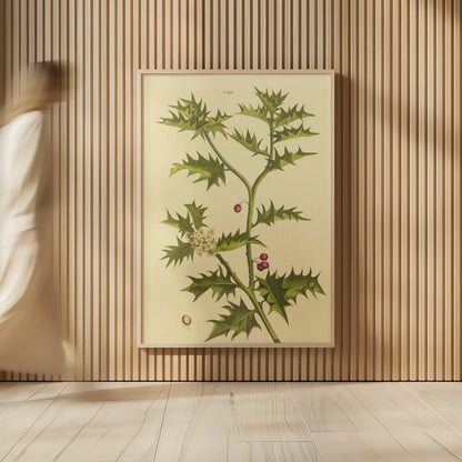 Herbal Botanical XXVIII by Wild Apple Portfolio. shown as over sized large wall art. Available as an archival giclee rolled canvas, fine art paper, or poster print. SKU 41433h.