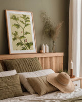 Herbal Botanical XXVIII by Wild Apple Portfolio. shown as a paper print in a natural frame. Available as a archival giclee rolled canvas, fine art paper, or poster print. SKU 41433h.