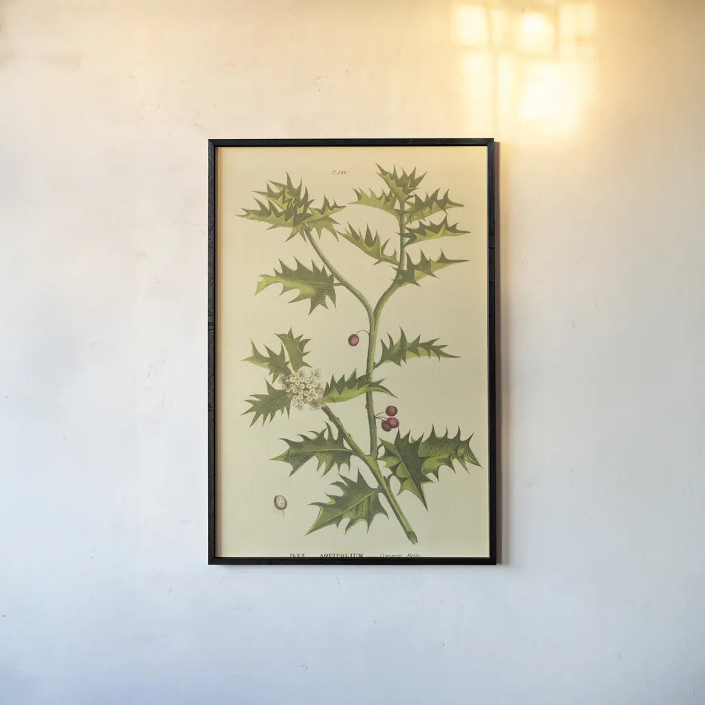 Herbal Botanical XXVIII by Wild Apple Portfolio. shown as a paper print in a black flame. Available as a archival giclee rolled canvas, fine art paper, or poster print. SKU 41433h.