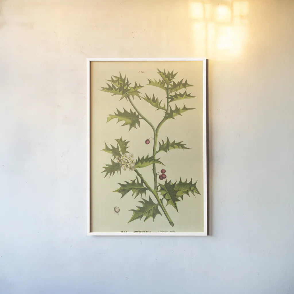 Herbal Botanical XXVIII by Wild Apple Portfolio. shown as a paper print in a white frame. Available as a archival giclee rolled canvas, fine art paper, or poster print. SKU 41433h.