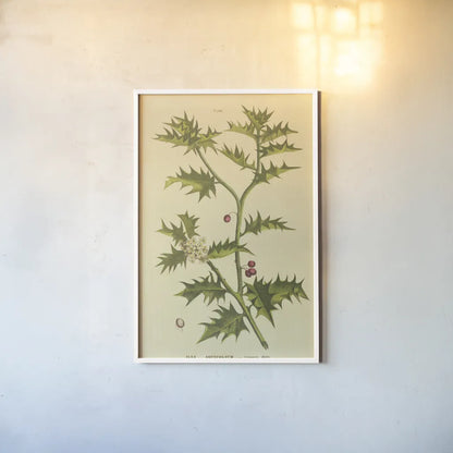 Herbal Botanical XXVIII by Wild Apple Portfolio. shown as a paper print in a white frame. Available as a archival giclee rolled canvas, fine art paper, or poster print. SKU 41433h.
