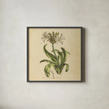 Herbed Botanical XX Square by Wild Apple Portfolio. Shown in a sleek black glass frame for a contemporary gallery look. Available as an archival giclee rolled canvas, fine art paper, or poster print. SKU 54171a.