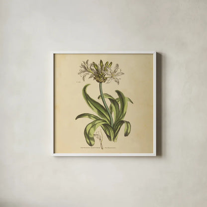 Herbed Botanical XX Square by Wild Apple Portfolio. Shown in a crisp white glass frame for a clean and minimalist style. Available as an archival giclee rolled canvas, fine art paper, or poster print. SKU 54171a.