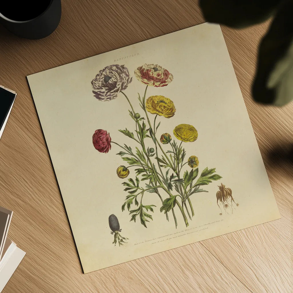 Herbed Botanical XXII Square by Wild Apple Portfolio. Shown as a detailed flat fine art print, highlighting archival giclee quality. Available as an archival giclee rolled canvas, fine art paper, or poster print. SKU 54172a.